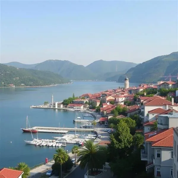 Orhangazi'de nakliyat